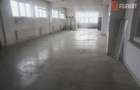 Hala productie in Timisoara COMISION 0% - ID V4732 - 17