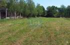 Teren 1942 mp, Baicoi, €32.500
 - 5