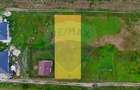 Teren de 1.500 mp de vanzare Ghermănești – Snagov | Lângă pădure - 3
