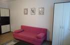 Apartament 1 camera Manastur, str. Padin, zona Piata Flora, decomandat - 10