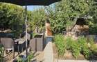 Proprietate Deosebita 2019 Palazu Mare  P+1+M +CASA  NR 2 - 2 APART 1400mp Teren - 5