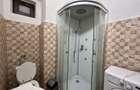 Apartament 1 camera Boul Rosu de inchiriat - 9