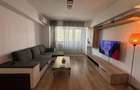Apartament 2 camere zona TEI-PARCUL CIRCULUI - 8