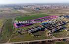 NĂDLAC | Teren 1.15 HA lângă Autostradă | 2.500mp Hale - 3