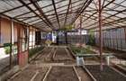 Casa localitea Bistrita - comuna Alexandru cel Bun , toate utilitatile - 12