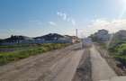 Teren 10.000 mp Clinceni | Parcelat 5 loturi + drum privat 9 ml - 1