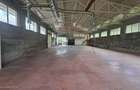 Hala de productie 540mp de închiriat în Borsa pe DN 18 spre Complex - 10