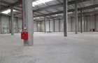 Spatiu Industrial - 1800 mp - Logistica - Productie - Depozitare - Distributie - 6
