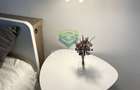 Garsoniera renovata modern str Nada Florilor - Teiul Domnei - 92