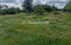 0% Comision!!! Teren intravilan Smeura - str Prunilor! - 5