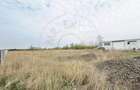 Teren Intravilan 1300 mp / Extravilan 3.700 mp/ DJ 196B Carei (DN 1F) – Foieni - 2