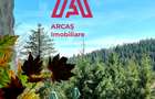 Afacere la Cheie Hotel de vanzare Statiunea Paltinis! - 12
