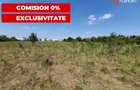 COMISION 0% Teren de vanzare intravilan de 5000 mp in zona Sagului - 13