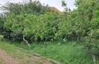 Lumina-teren 4297mp cu deschidere la DN - 6