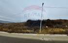 Teren Dezmir 2900 mp de vânzare, strada Trandafirilor, 0% Comision - 3