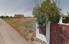 Vanzare teren Snagov - Izvorani, Strada Gradinarilor - 4