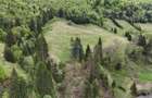 Extravilan + Intravilan | Sătic-Rucăr | Cadru natural | Turistic - 9