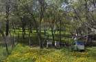 Casă  de vânzare în zona Câmpulung înconjurată de natura - 16