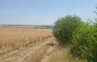 130 Ha comasat 100%, judetul Constanța - 1