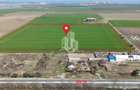 Teren intravilan, 4ha,  lotizat,  comuna 23 August - 1