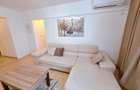 2 camere Sala Palatului Cismigiu etaj 4 - 9