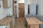 Apartament 2 camere Pet Friendly, complet mobilat si utilat, Lujerului - 6