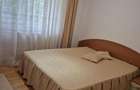 2 Camere Banu Manta / Victoriei / Titulescu - 5