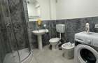 Inchiriere Apartament cu 2 camere Visani - 4