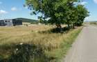 Teren pentru constructie fabrica , 4 ha -215000 euro - 1