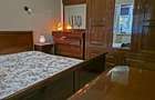Apartament de inchiriat 2 camere Bulevardul Victoriei - Centrul Nou - 7