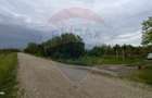 Teren 3,700mp Gulia/DN7 -20 km fata de Pta Victoriei -ideal investitie - 9