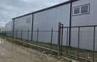 Hale noi 2026 AFUMATI ( Moara Domneasca ) 2300 Euro - 13