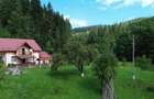 Casuta de Sub Padure In Bucovina De vanzare 0727817187 - 14