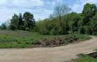 intravilan Tiparesti, relaxare aproape de padure - 5