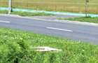 OPORTUNITATE TEREN INTRAVILAN 9000MP-TURNISOR - 5