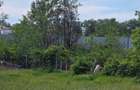 TEREN INTRAVILAN STEFANESTI - PCT ZAVOI - ARGES - 6