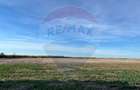 Teren extravilan de vanzare 17500 mp, deschidere 27m la DN1,  Ploiesti - 7