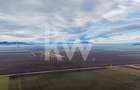 Teren exceptional pentru investitii industriale langa Brasov - 4