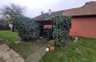 Casa in Ronat compartimentata in 2 apartamente cu intrari separate - 3
