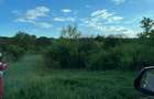 Teren construcții intravilan de 4700 mp, Baciu - Comision 0% - 4