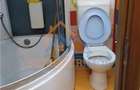 Vanzare apartament 3 camere zona Rahova-Soseaua Alexandriei - 12