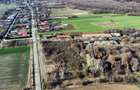 Ferma si livada de meri in judetul Ilfov - 2