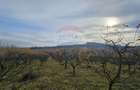 Teren extravilan 10,791mp Falticeni / Strada DJ209A, Opriseni - 7
