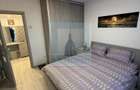 Apartament 2 camere mobilat/utilat LUX - zona Bld.Victoriei - 4