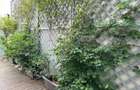 Vila 6 Camere de Inchiriat Rezidential sau Birouri *Dorobanti* - 21