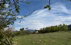 Teren intravilan 500 mp sau 1000 mp în Zarnesti –Tohanita cu parau(izvor) - 8