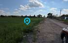 Teren Snagov - Cioflinceni | Drum amenajat | Aproape de Padure si Lac - 5