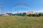 Teren intravilan 11.500 mp – Strada Cismari Vălenii de Munte - 3