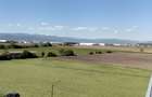 Apartament 2 camere/Magnolia Resident - 11