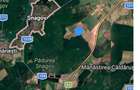 SNAGOV VANZARE TEREN EXTRAVILAN GROPA PORCULUI - 5